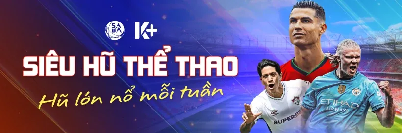 Giải đấu bóng đá Euro 2026